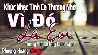 Khúc Nhạc Tình Ca Thương Nhớ Dai Dẳng Cả Đời Người – Vì Đó Là Em | Tình Khúc Hải Ngoại Sang Trọng