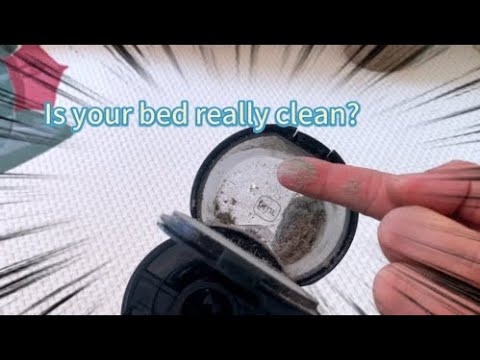 video Jimmy BD7 Pro Double Cup Anti-Mite Vacuum Cleaner