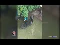 Floodwaters Submerge Domalguda After Downpour | V6 News  - 03:05 min - News - Video
