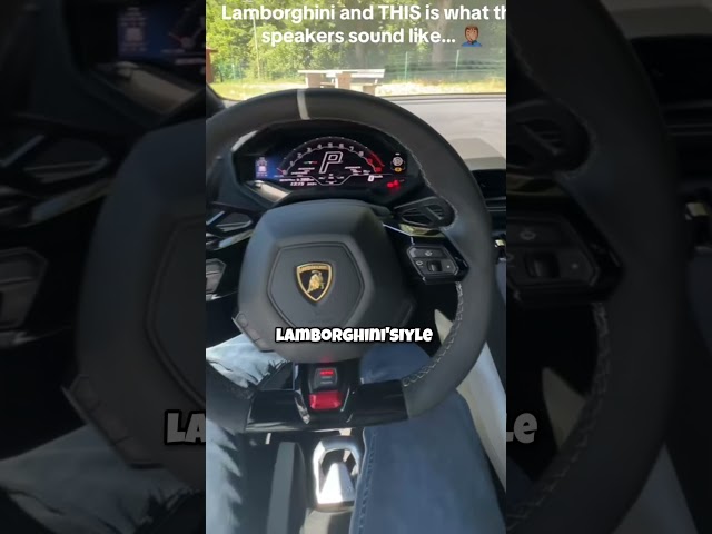 400 Bin Dolarlık Lamborghini Aldığında Pişman Olan Adam ?