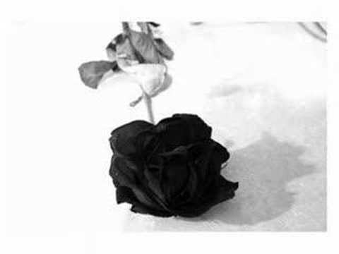 Infernosounds - Land der schwarzen Rosen