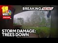 Video shows storm tearing trees apart