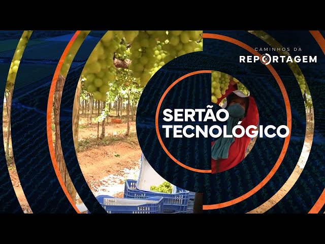 Caminhos da Reportagem | Sertão tecnológico