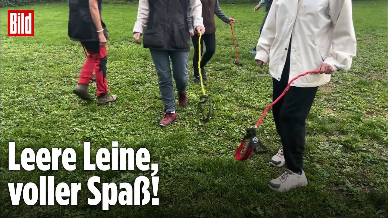 Kreativ, skurril und viral: So geht Hobby Dogging