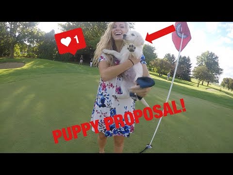 TRY NOT TO CRY AT THIS PUPPY PROPOSAL!!!