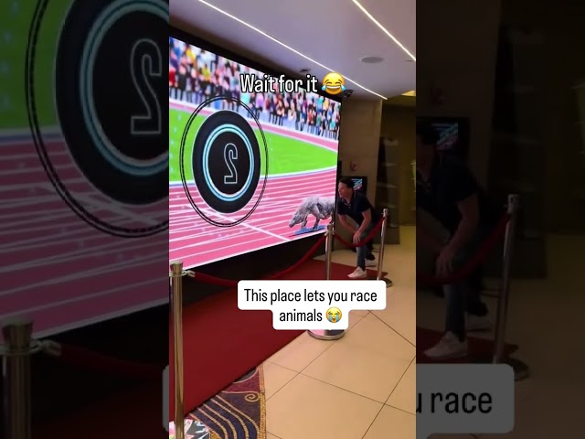 He won but at what cost 😭 (via @alxxwilson/TT)