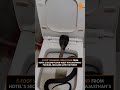 Venomous Cobra Spotted in Pushkar Hotel Toilet | Snake Safely Rescued | News9 | #ytshorts