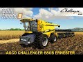 Agco Challenger 680b Ernester v1.0
