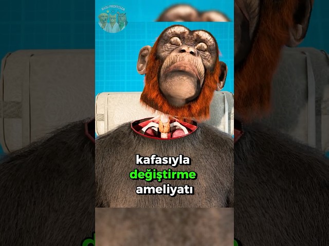 1970’te Yapılan Şok Edici Bir Ameliyat! 🐵👨🏻‍⚕️☠️
