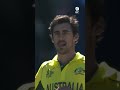 Mitchell Starc breathing fire 🥵🔥 #Cricket #CricketShorts #YTShorts