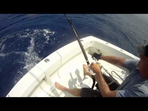 Froehlich's 500+ Blue Marlin Release Featuring Ken Matsuura Reels.mp4