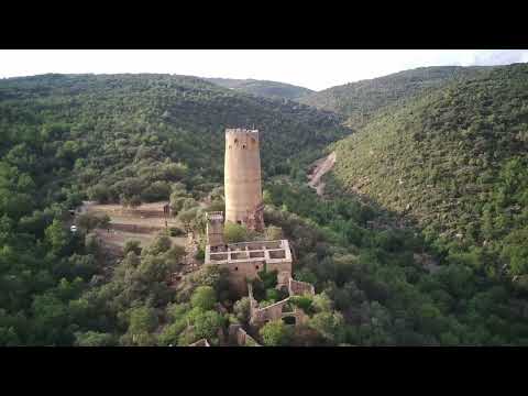 Esguardant la torre de Vallferosa