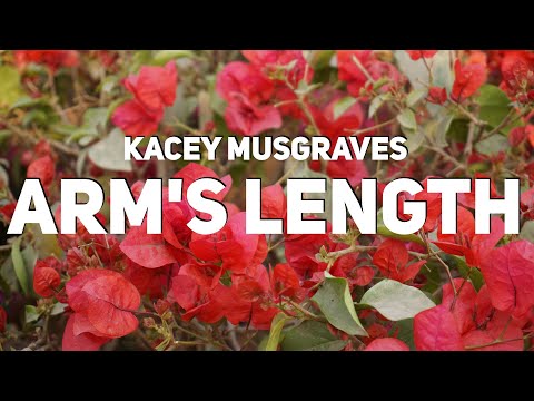Kacey Musgraves Arm's Length (Lyrics)