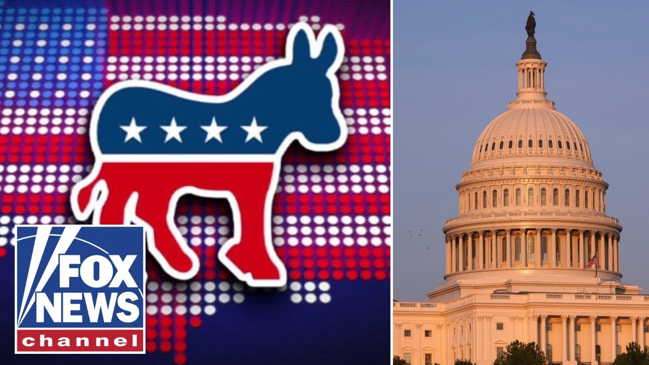 Dems decided to be the ‘party of freaks and illegal aliens,’ says Sean Davis