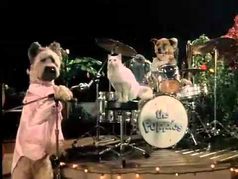 The Karate Dog'