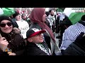 Massive Pro-Palestinian Rally in Washington Calls for an End to U.S. Arms Support for Israel | News9  - 03:35 min - News - Video