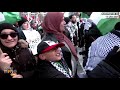 Massive Pro-Palestinian Rally in Washington Calls for an End to U.S. Arms Support for Israel | News9
