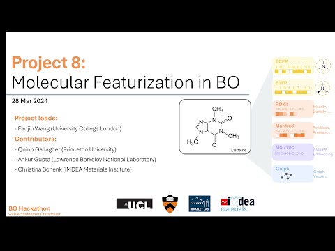 BO for Drug Discovery-What is the role of molecular representation?