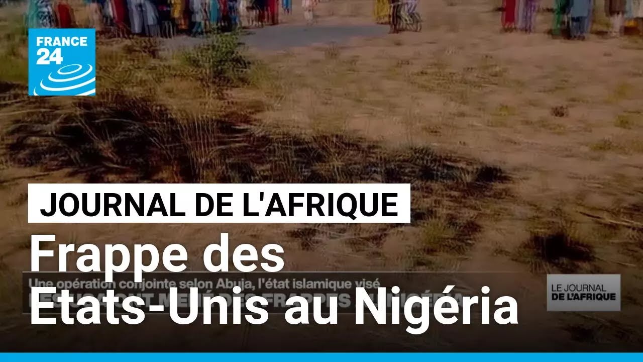 Frappe des Etats-Unis au Nigéria: une opération conjointe selon Abuja • FRANCE 24