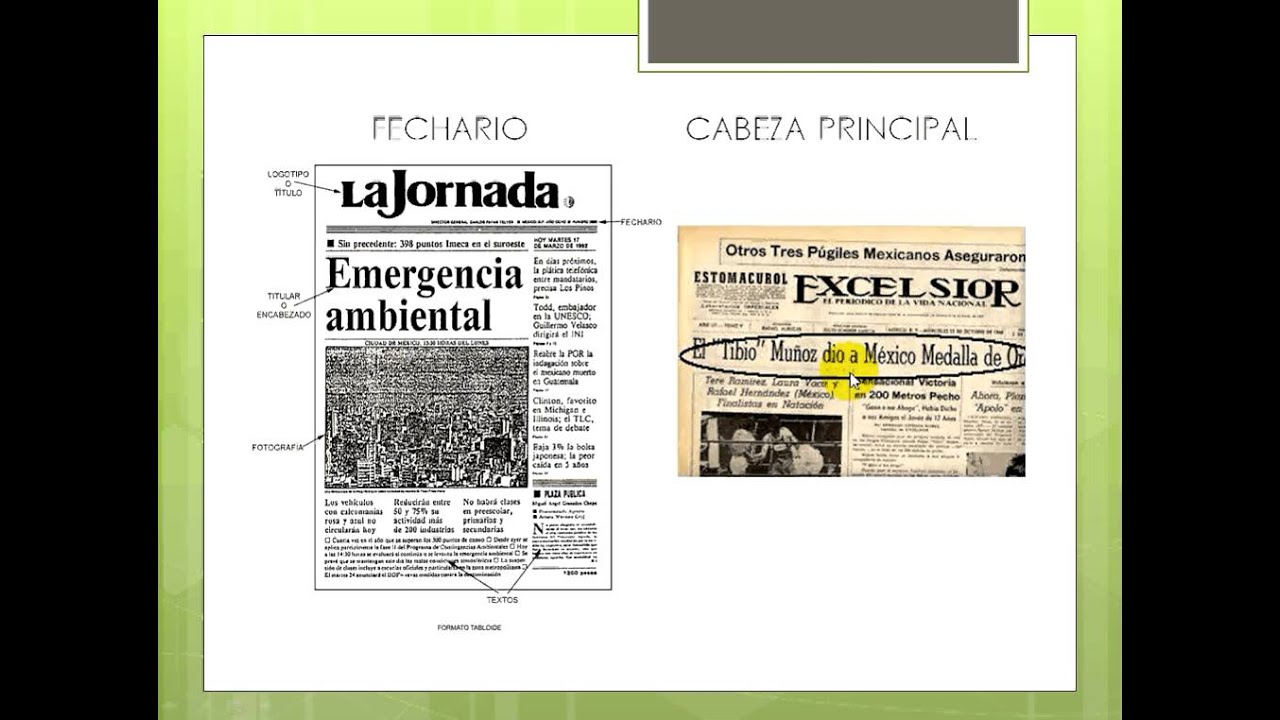 El periodico y su extructura externa.avi - YouTube