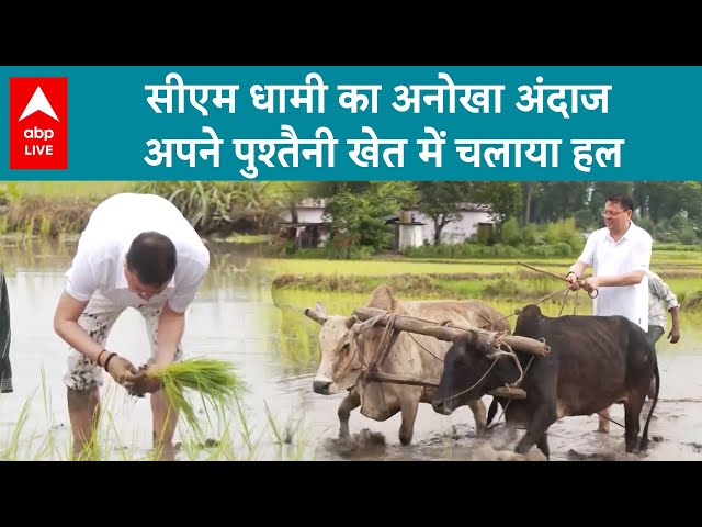 Pushkar Singh Dhami: CM Dhami का अनोखा अंदाज अपने पुश्तैनी खेत में चलाया हल | ABP LIVE