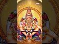 Swamy Manikantuni Song | Lord Ayyappa Swami Special Songs |Swamy Archana |#Ayyappa #Bhakti #YTShorts