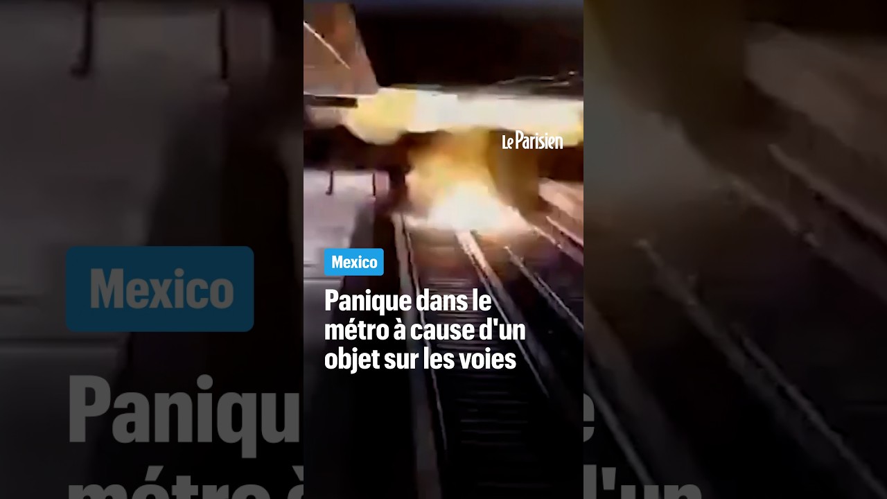 Panique dans le métro à cause d'un objet tombé sur les voies