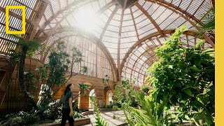 Portraits of San Diego | National Geographic