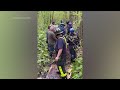 Rescuers free 2 horses stuck in mud in Connecticut - 01:21 min - News - Video
