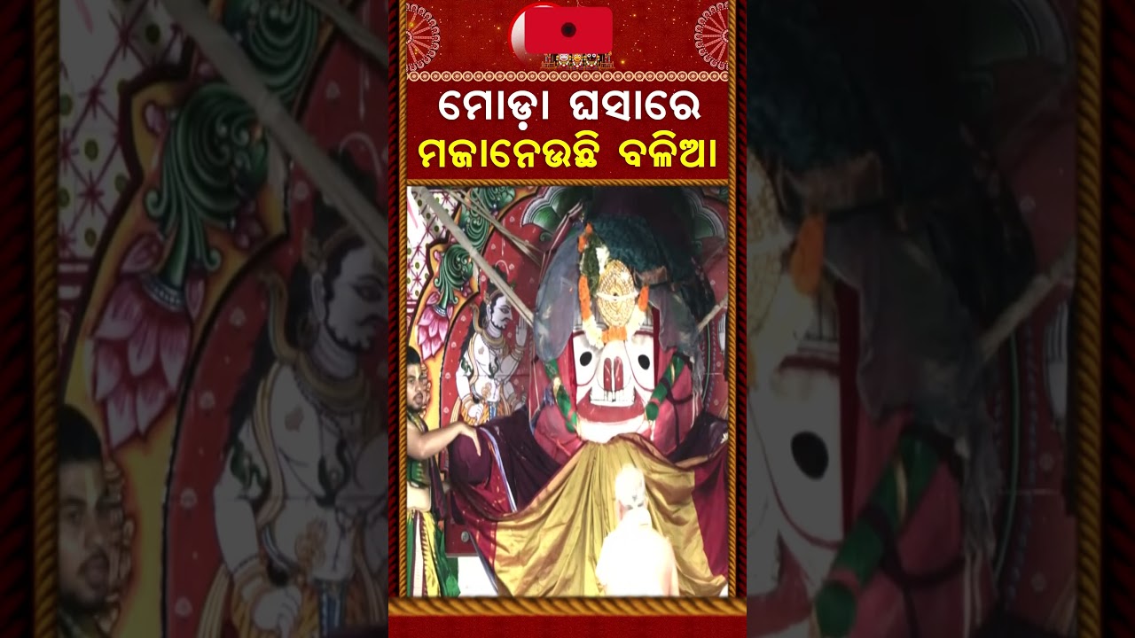 ମୋଡା ଘସାରେ ମଜା ନେଉଛି ବଳିଆ | Adhara Pana 2026 | Rath Yatra 2026 | Rath Jatra | Puri News |Argus News