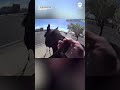 Man arrested for shoplifting by mounted police in New Mexico  - 00:49 min - News - Video