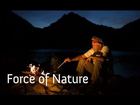 Force of Nature'