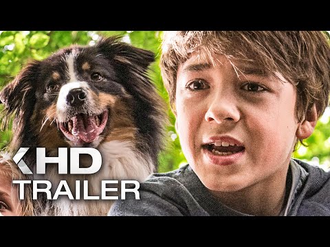 FÜNF FREUNDE UND DAS TAL DER DINOSAURIER Teaser Trailer German Deutsch (2018)