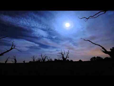 Tomec & Grabber - Tomec & Grabber (Dalmatian Lounge) -  - Misechina (Moonlight)