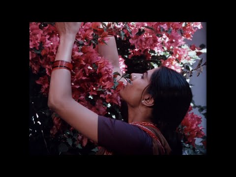 Chidambaram'