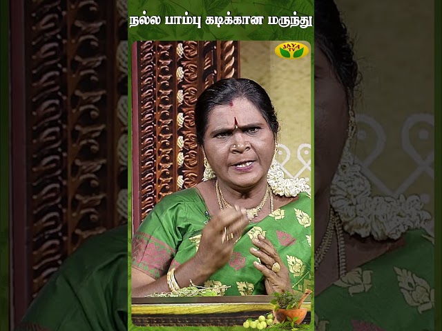 நல்ல பாம்பு கடிக்கு சிறந்த தீர்வு | Parambariya Maruthuvam | Jaya Tv