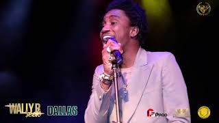 WALLY B SECK CONCERT LIVE IN  DALLAS  AFRICAN LIVE JAM 2022 #wally seck#