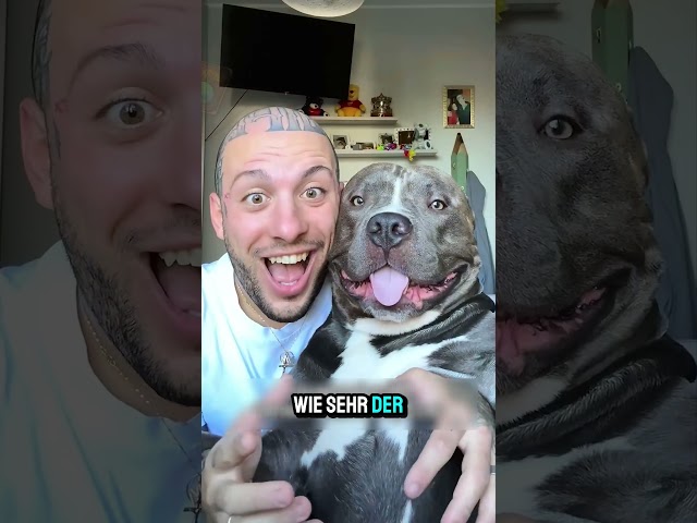 Dieser Hund ist verrückt