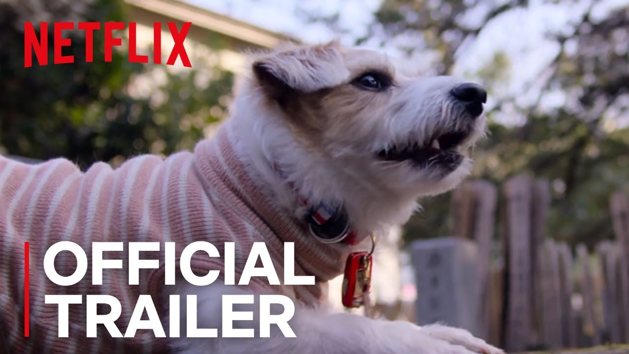 Trailer de Dogs