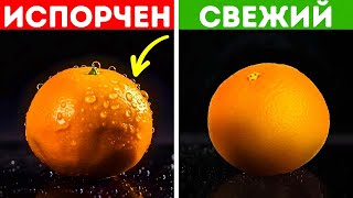 Теперь мы знаем, почему в продуктовых магазинах портятся продукты (не покупайте их!)