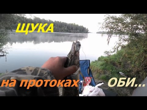 рыбалка в ельцовке новосибирск рыбалка в ельцовке новосибирск