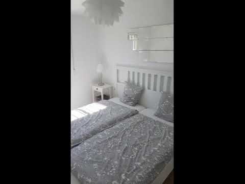 Video realizado por la propiedad
