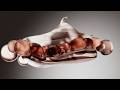 Advanced 3D Product Animation Course Chapter 1