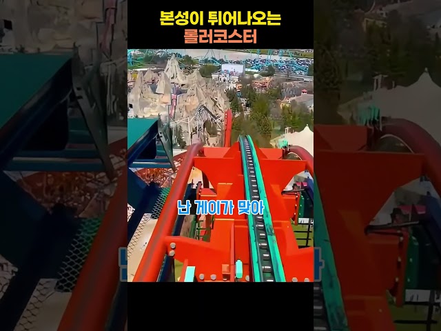 본성이 튀어나오는 롤러코스터 #롤러코스터 #shorts #놀이공원