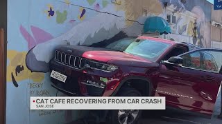San Jose cat cafe recovering from car crash