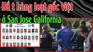 Bắ t hàng loạt gốc Việt ở San Jose California