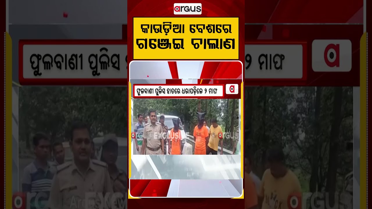 କାଉଡିଆ ବେଶରେ ଗଞ୍ଜେଇ ଚାଲାଣ | Ganja Smuggling | Odisha Police | Crime News | Argus News