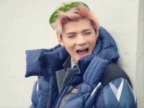 Exo Funny/CUTE Moments Part 18 (2013)