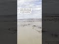 Floods in north Kazakhstan force evacuations  - 00:28 min - News - Video
