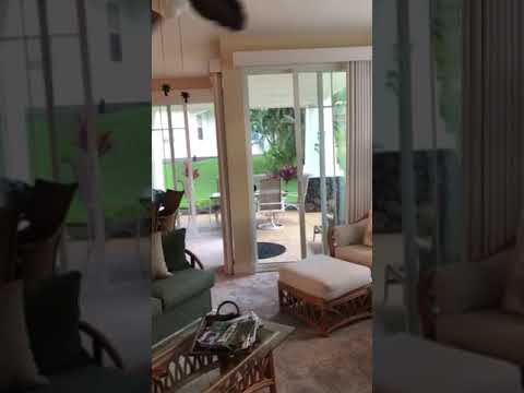 Property video